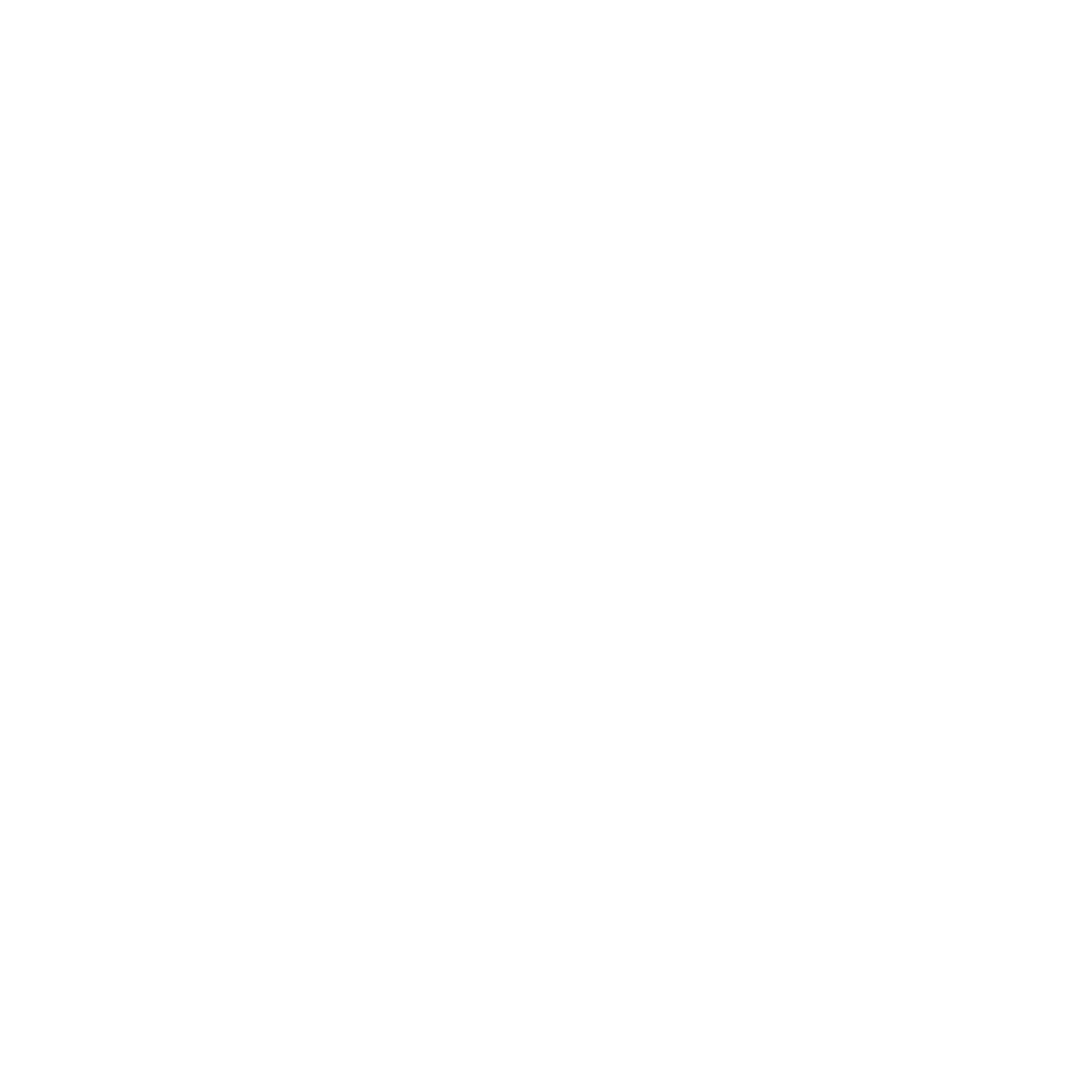 MR. MOUSA